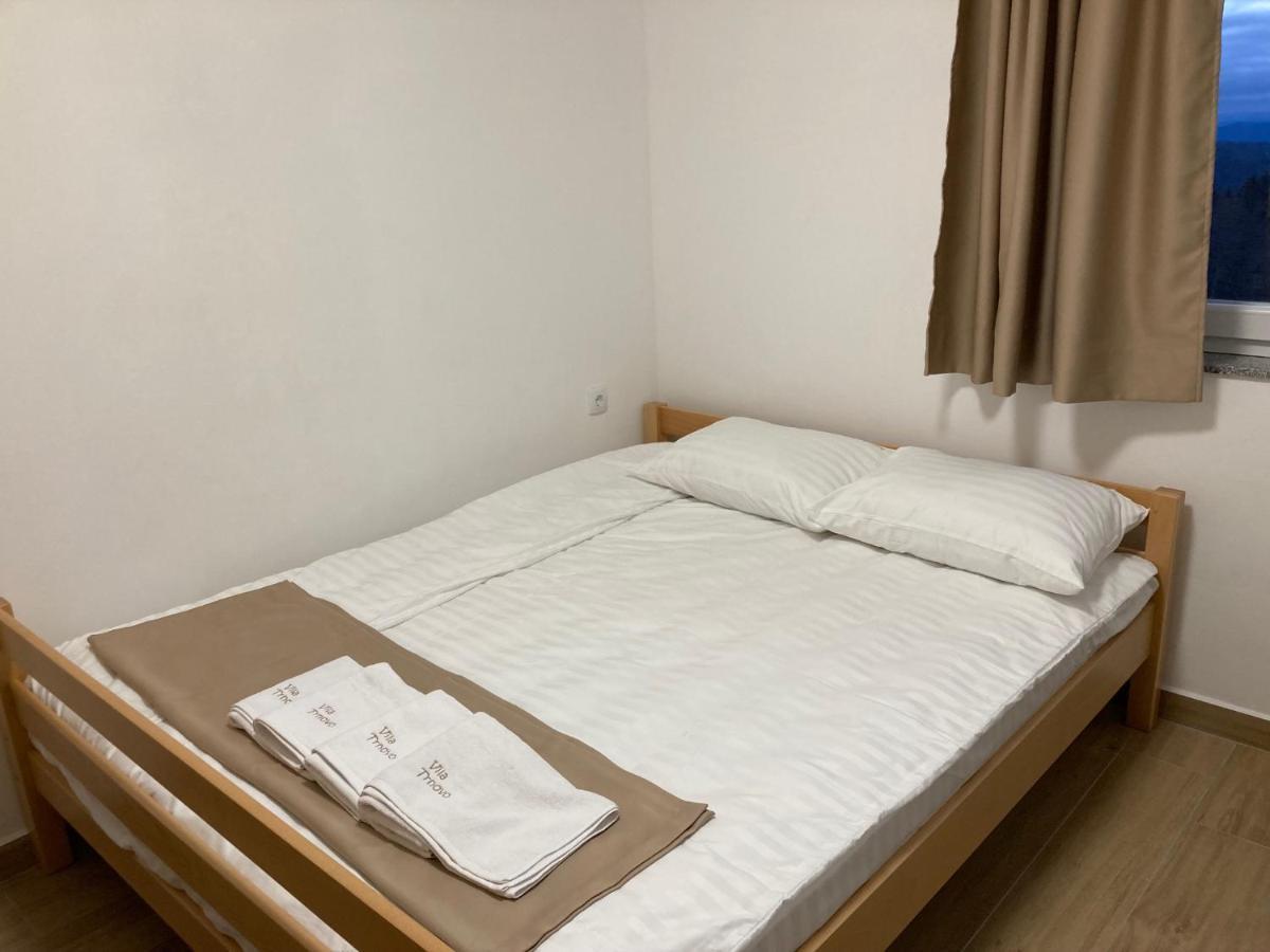亚霍里纳Vila Trnovo公寓 外观 照片